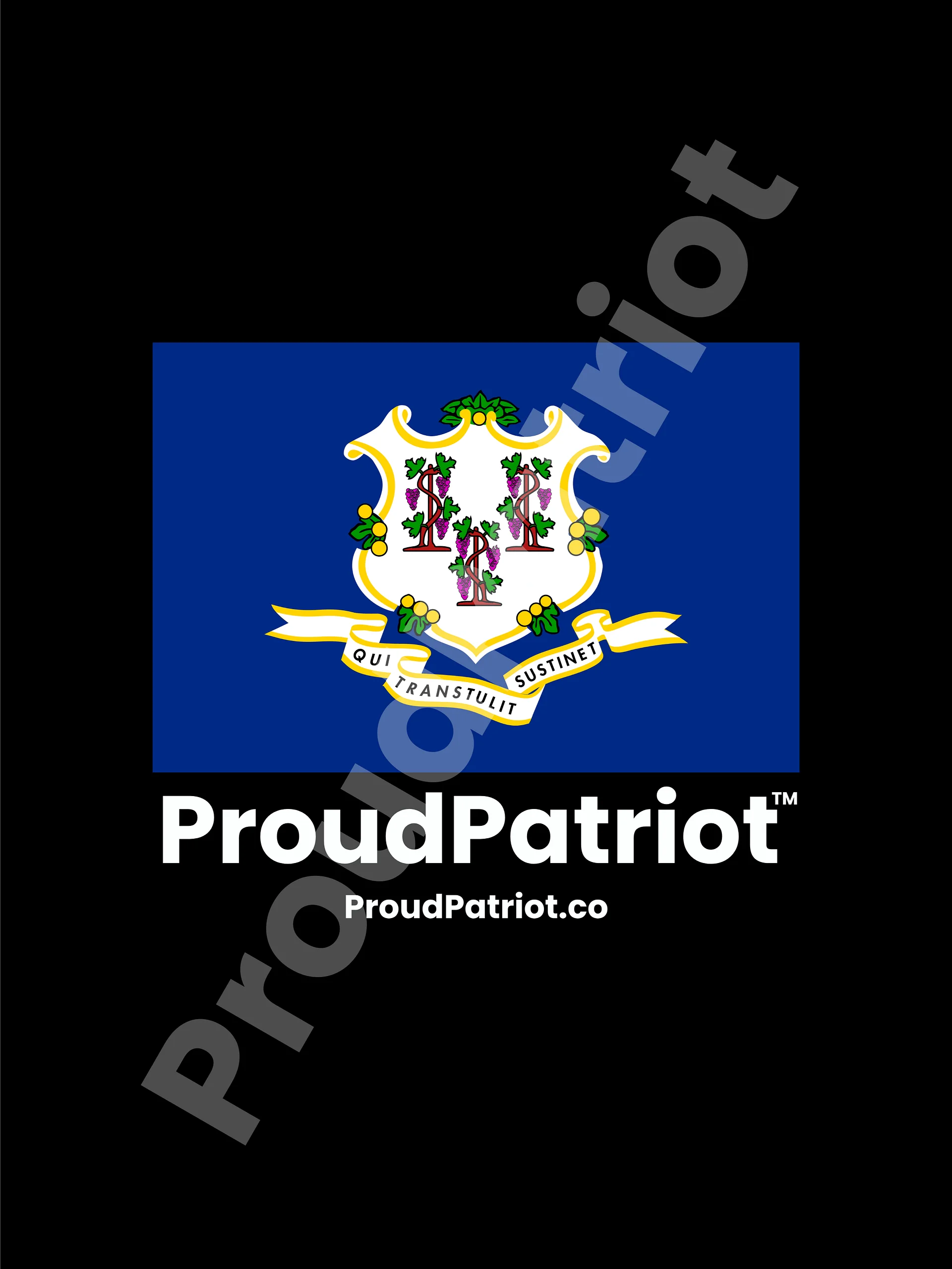 Connecticut Proud Screensaver Dark Mode product image (1)