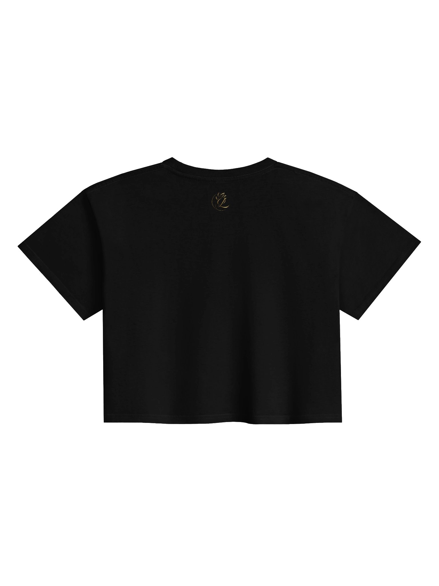 Houston Rodeo Club Western Crop Top product image (51)