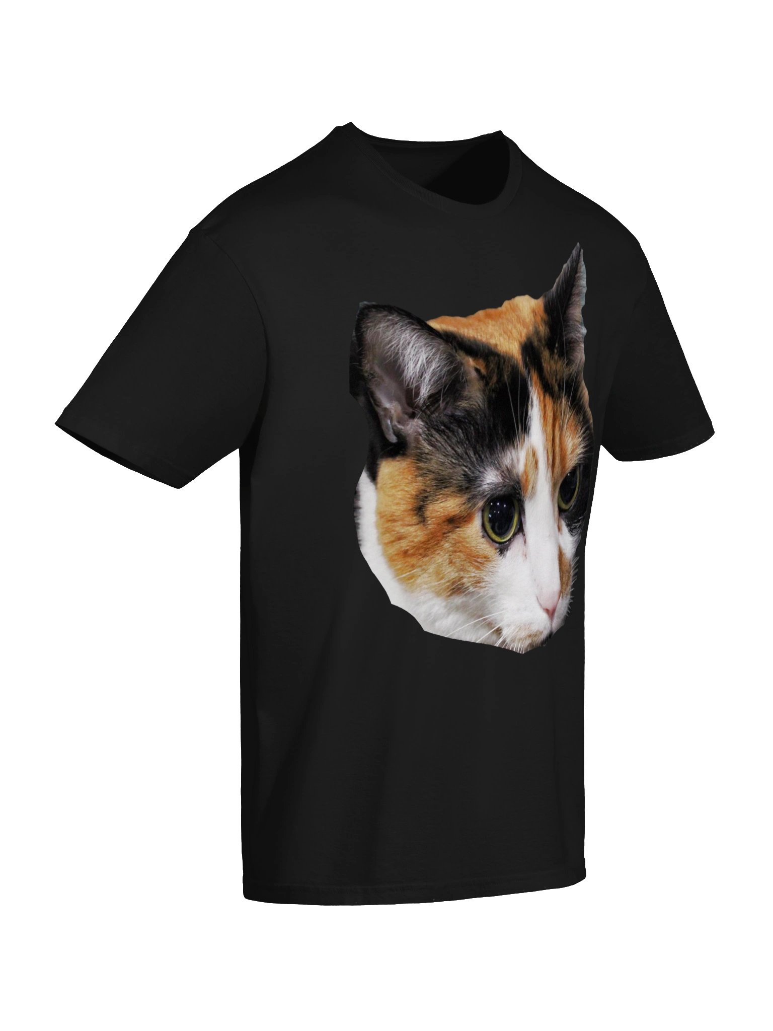 Captain Noodle Shirt product image (6)