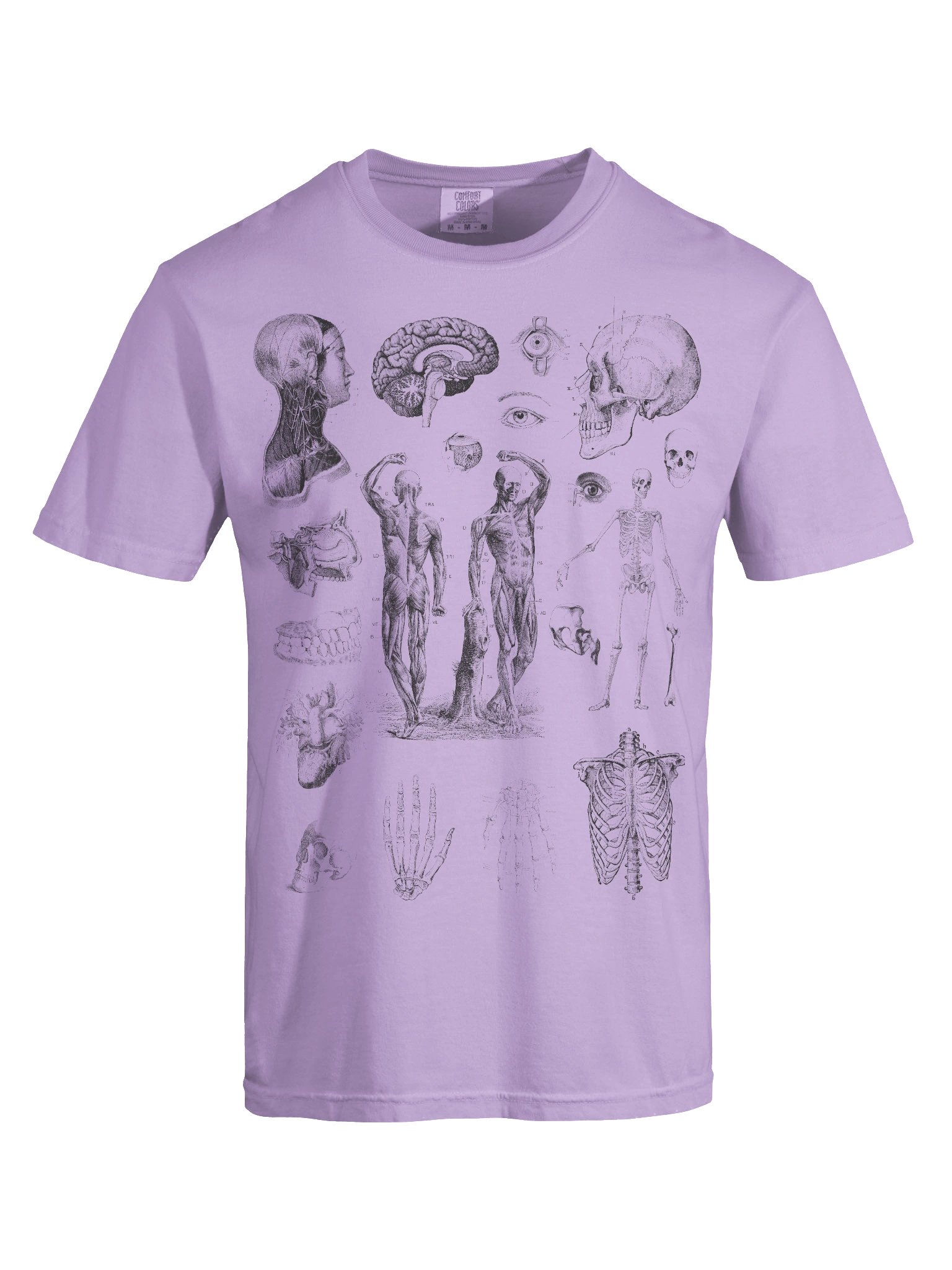 Dark Academia Anatomy Shirt – Vintage Human Anatomy Sketch Graphic Tee product image (36)