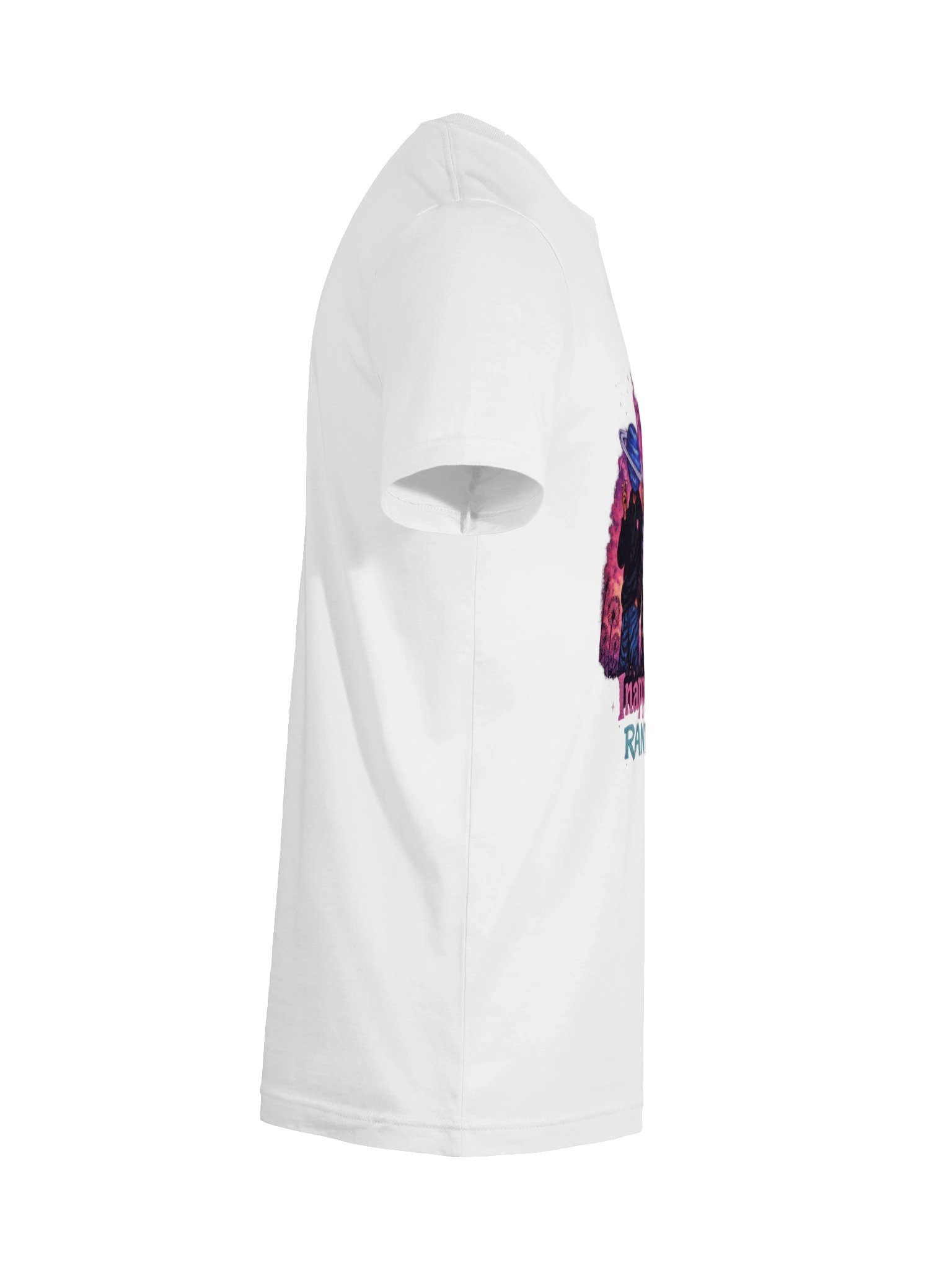 Bella+Canvas Unisex Supersoft T-Shirt product image (46)