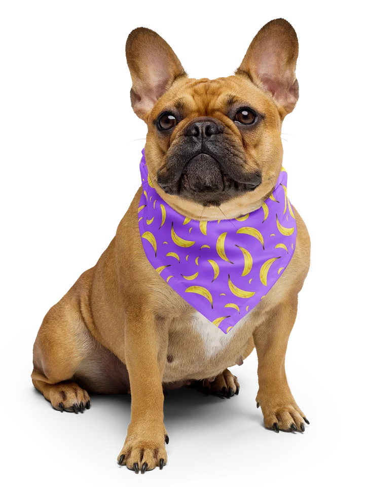 Bananapalooza bandana product image (1)