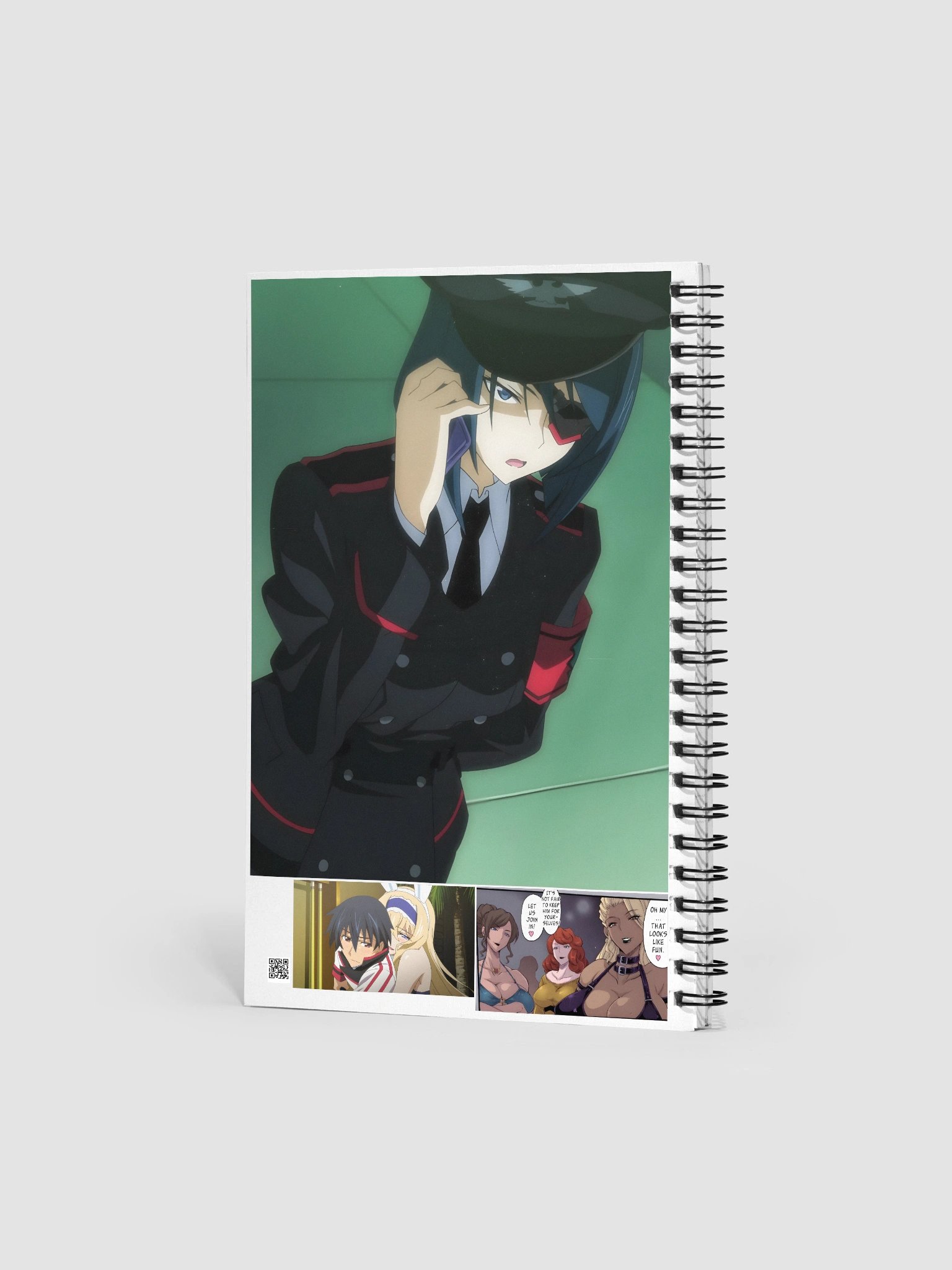 Infinite Stratos Book product image (2)