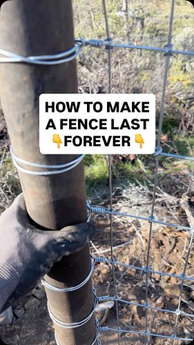 Fencing is MISERABLE!!! #fencing #fence #farmlife #goats #bidwellcanyonfarm
