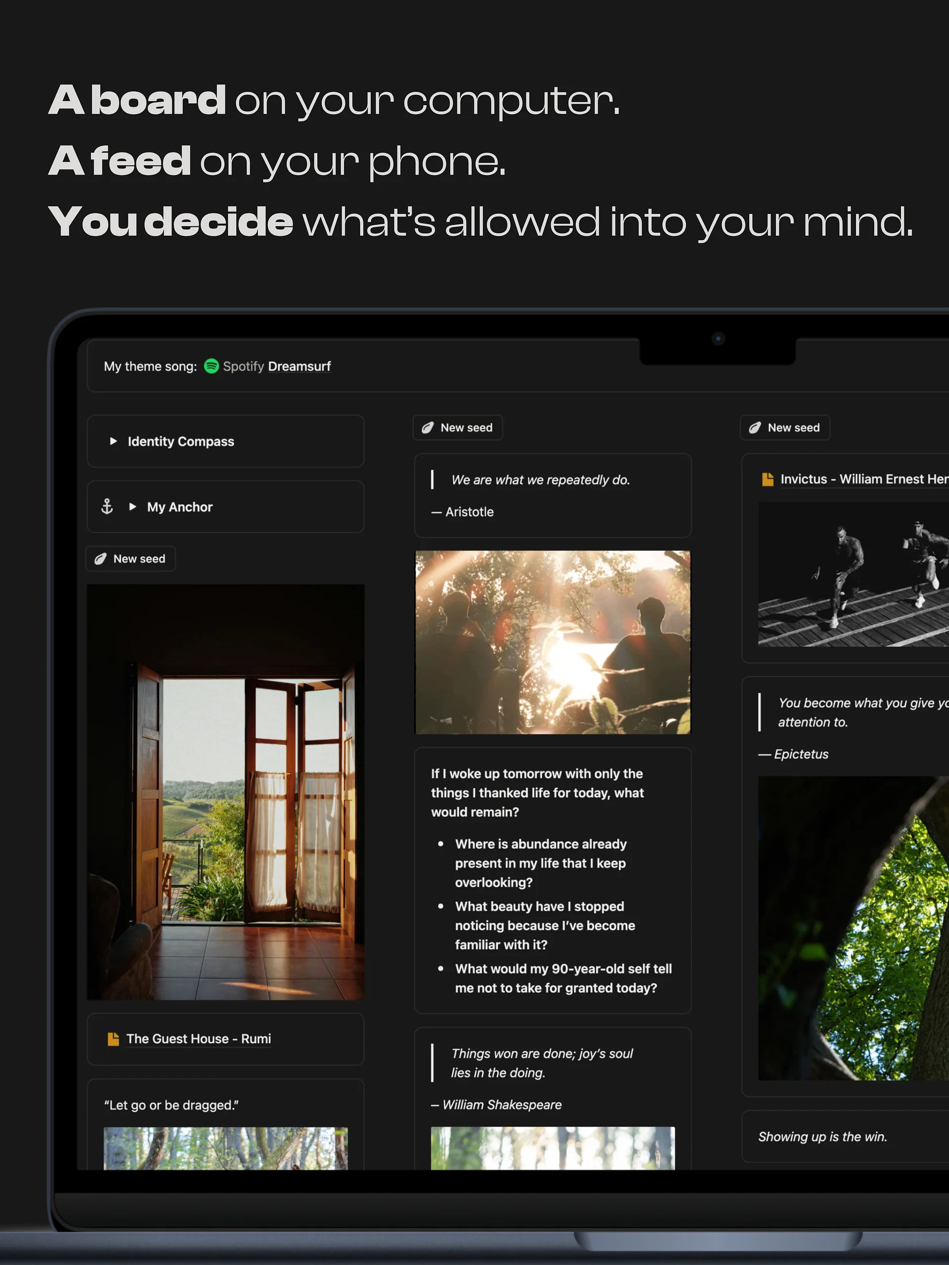Identity Feed product image (2)