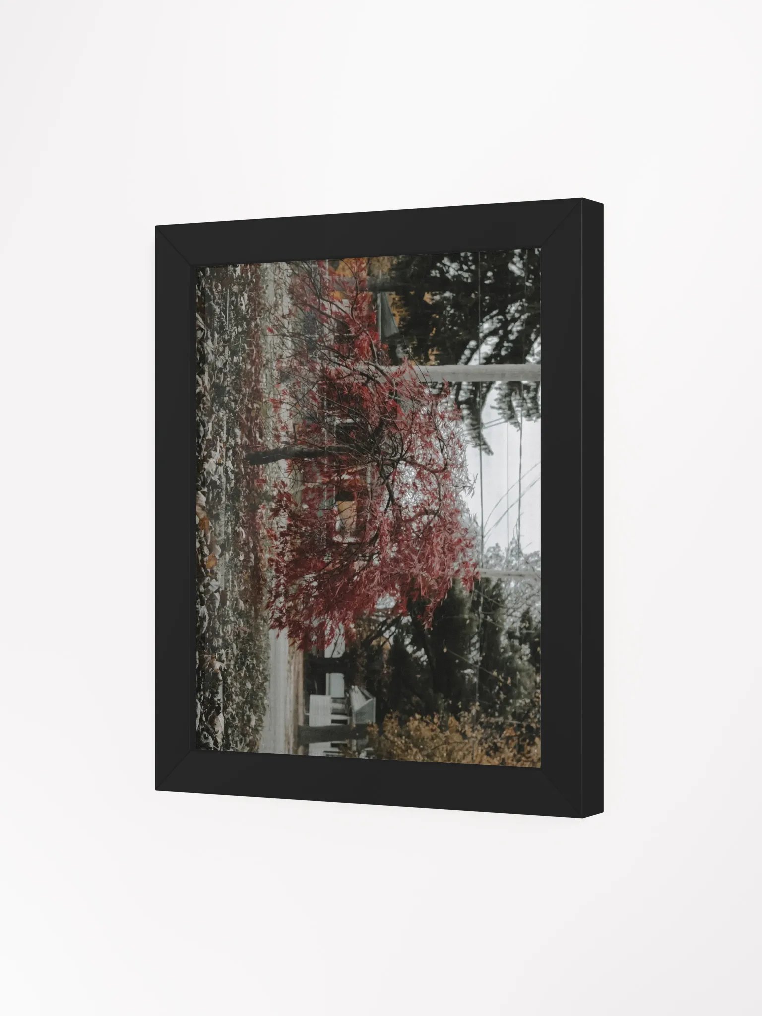 Japanese Maple Tree Print product image (3)
