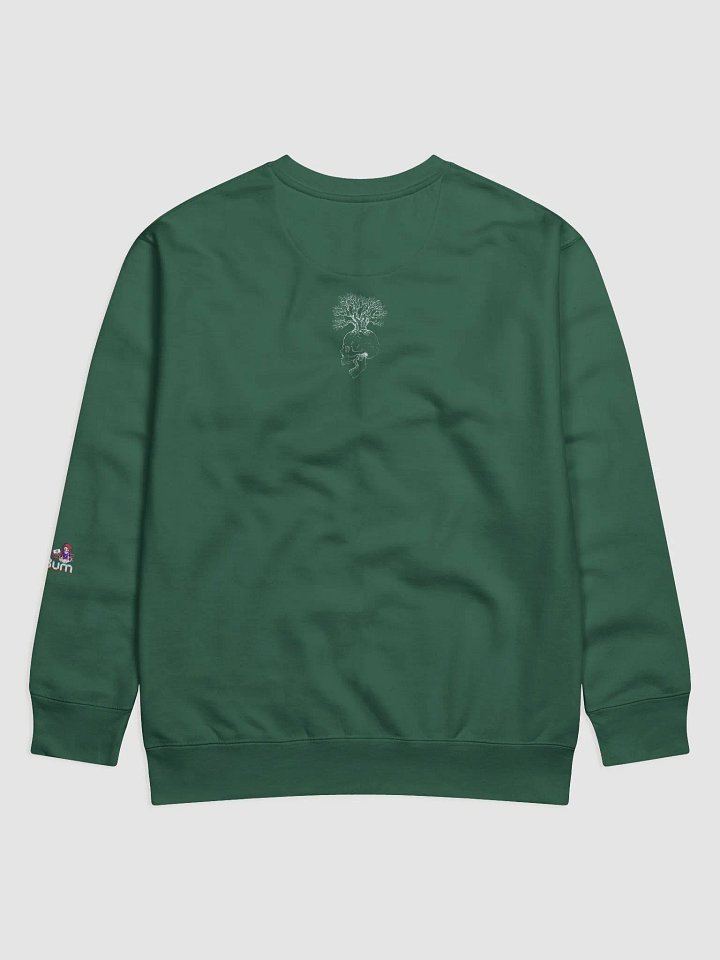 NEURODIVERGENT SKULL premium sweatshirt product image (10)