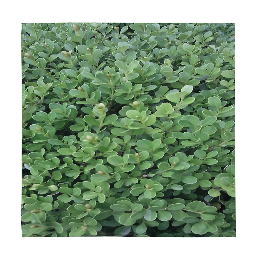 "Green Leaf" Dinner Napkins product image (12)