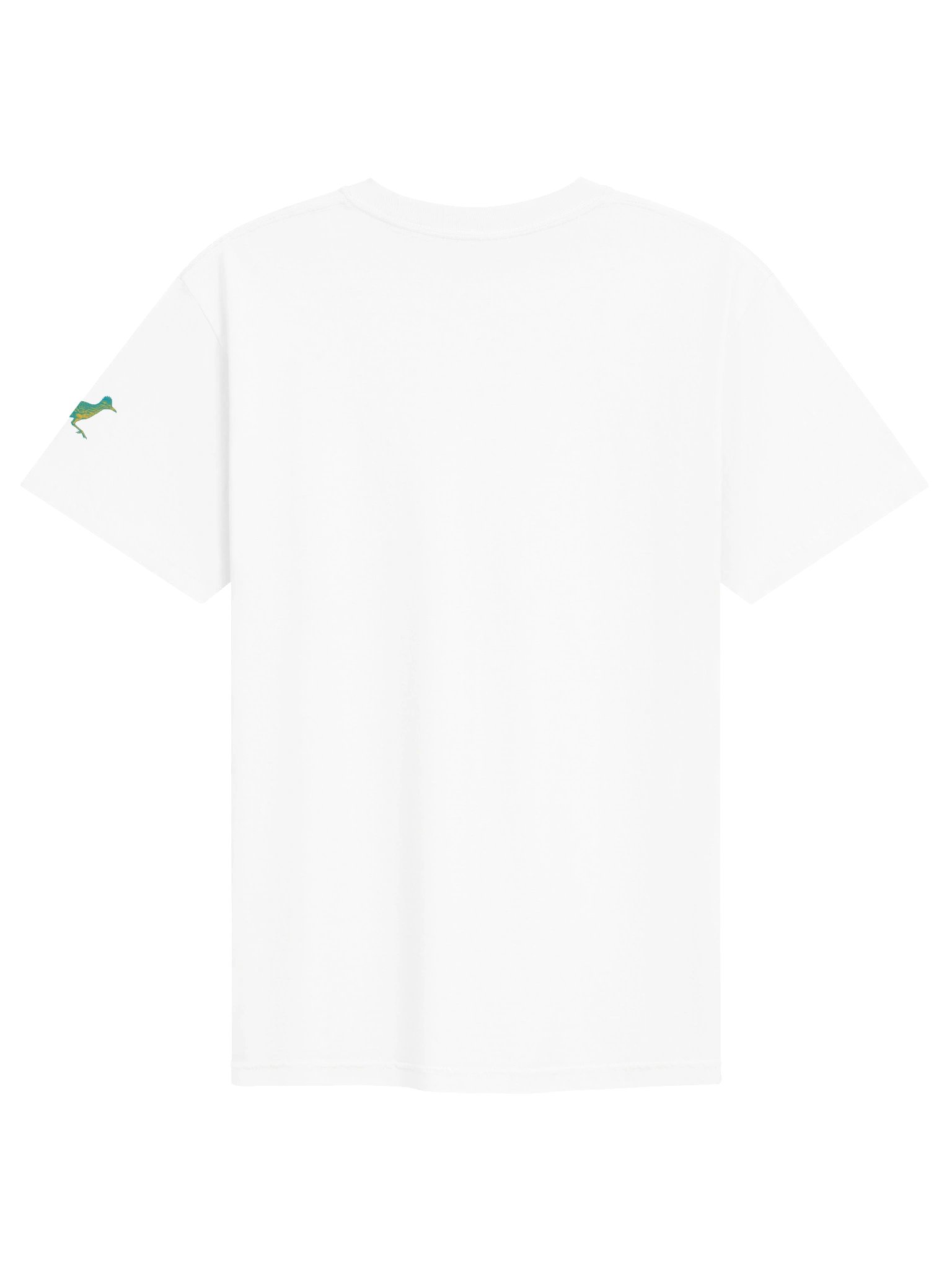 GREATER ROADRUNNER product image (11)