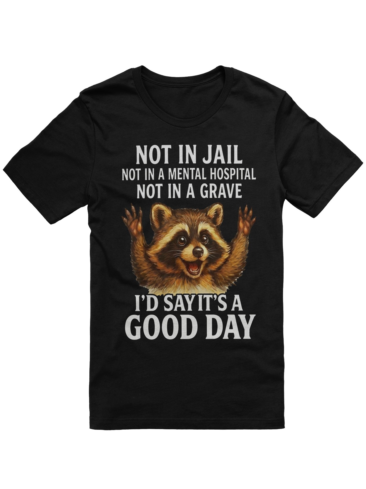 Funny Not in Jail Not in A Mental Hospital Not in A Grave T-Shirt product image (1)