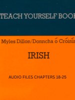 Audio Files for Teach Yourself Irish 3/4 product image (1)