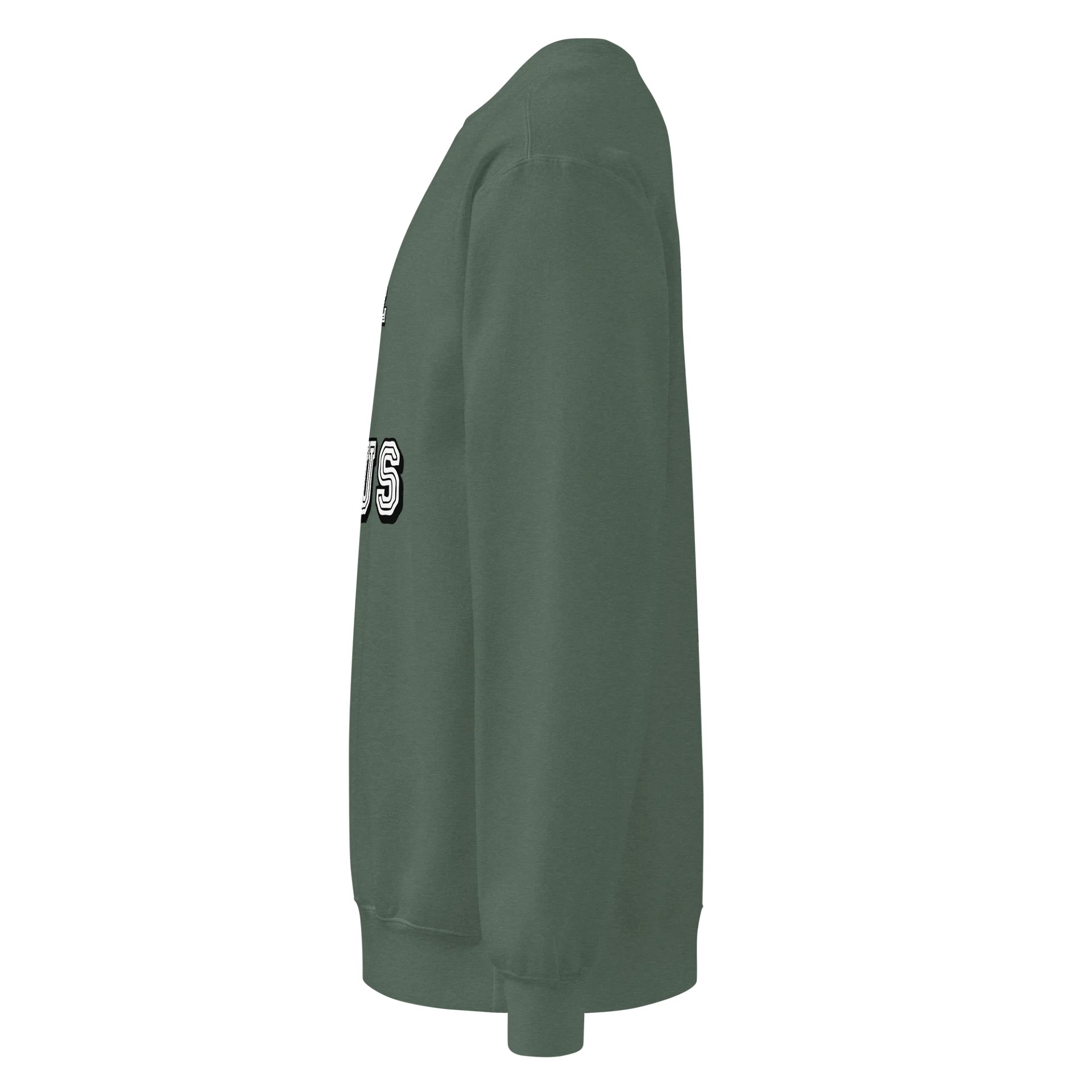 Faithful to Jesus Sweatshirt Unisex product image (17)