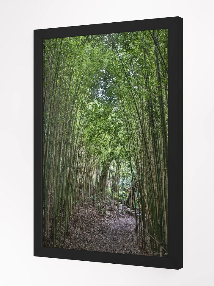 🌿 Print Fine Art – The Path of Stillness product image (3)
