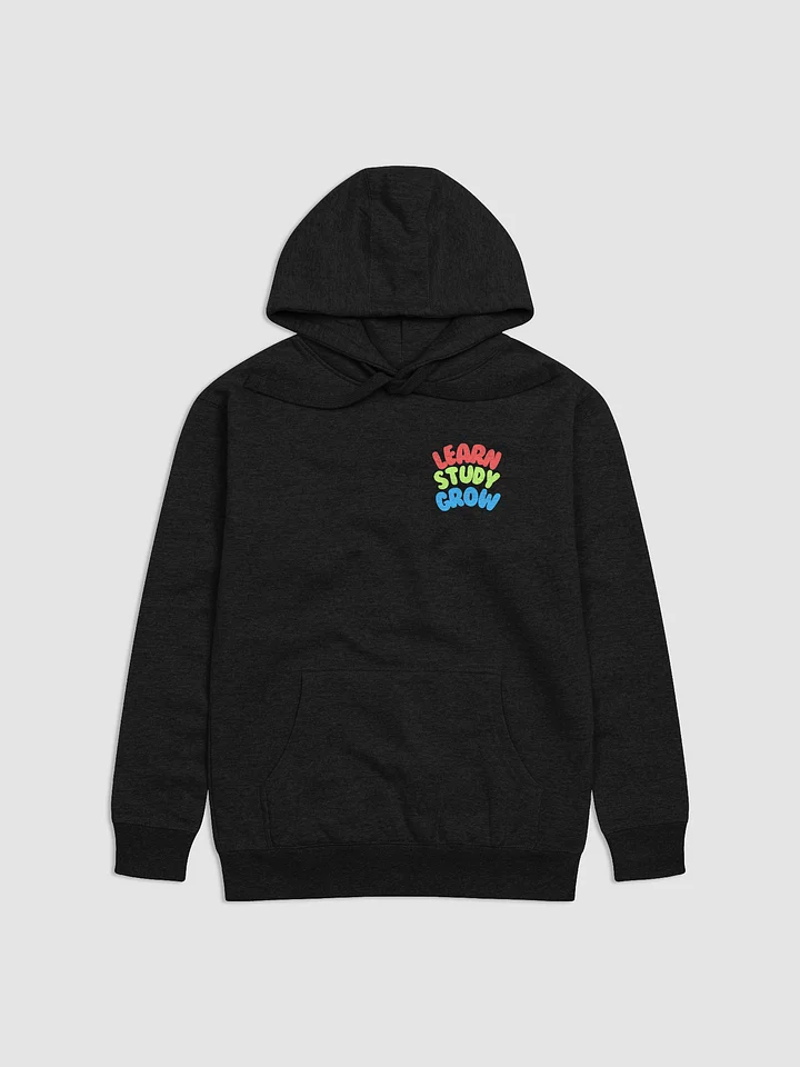 WTSBR HOODIE product image (1)