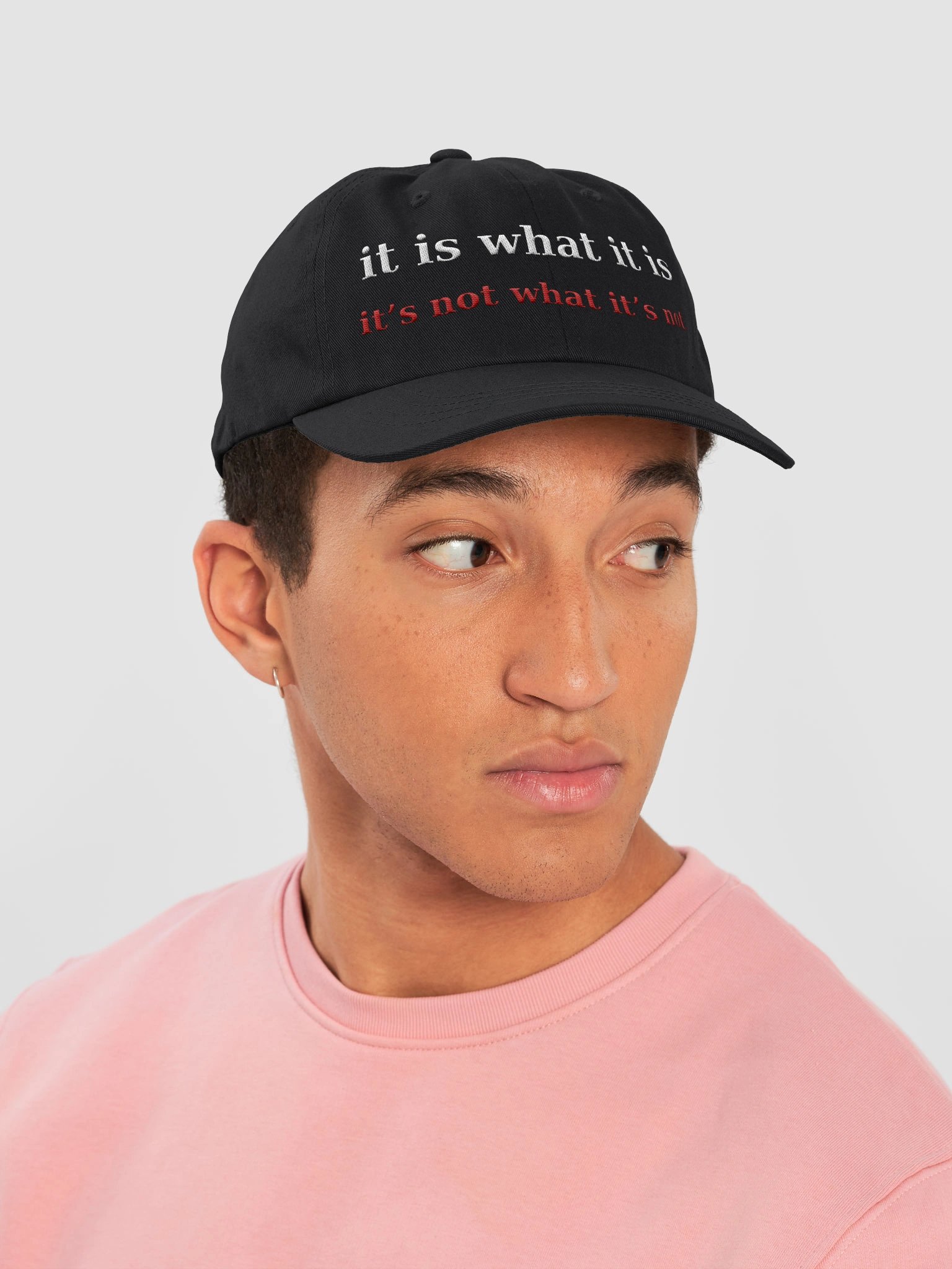 The Dad Hat — both things at once product image (6)