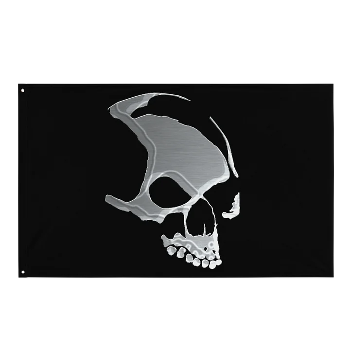 Armada Skull Flag product image (1)