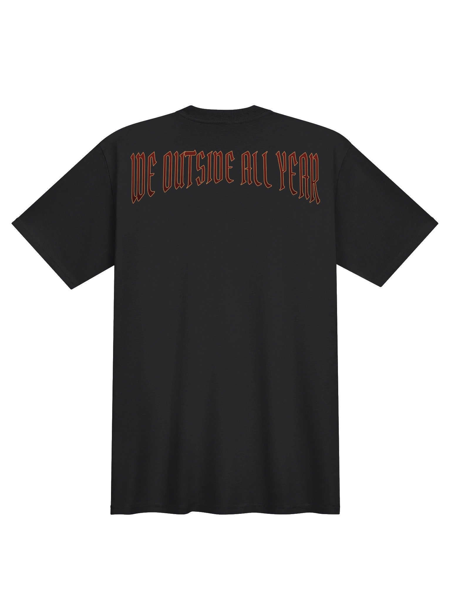 "GAMECOCK EYES NEVER LIE" Premium Heavyweight Tee product image (2)