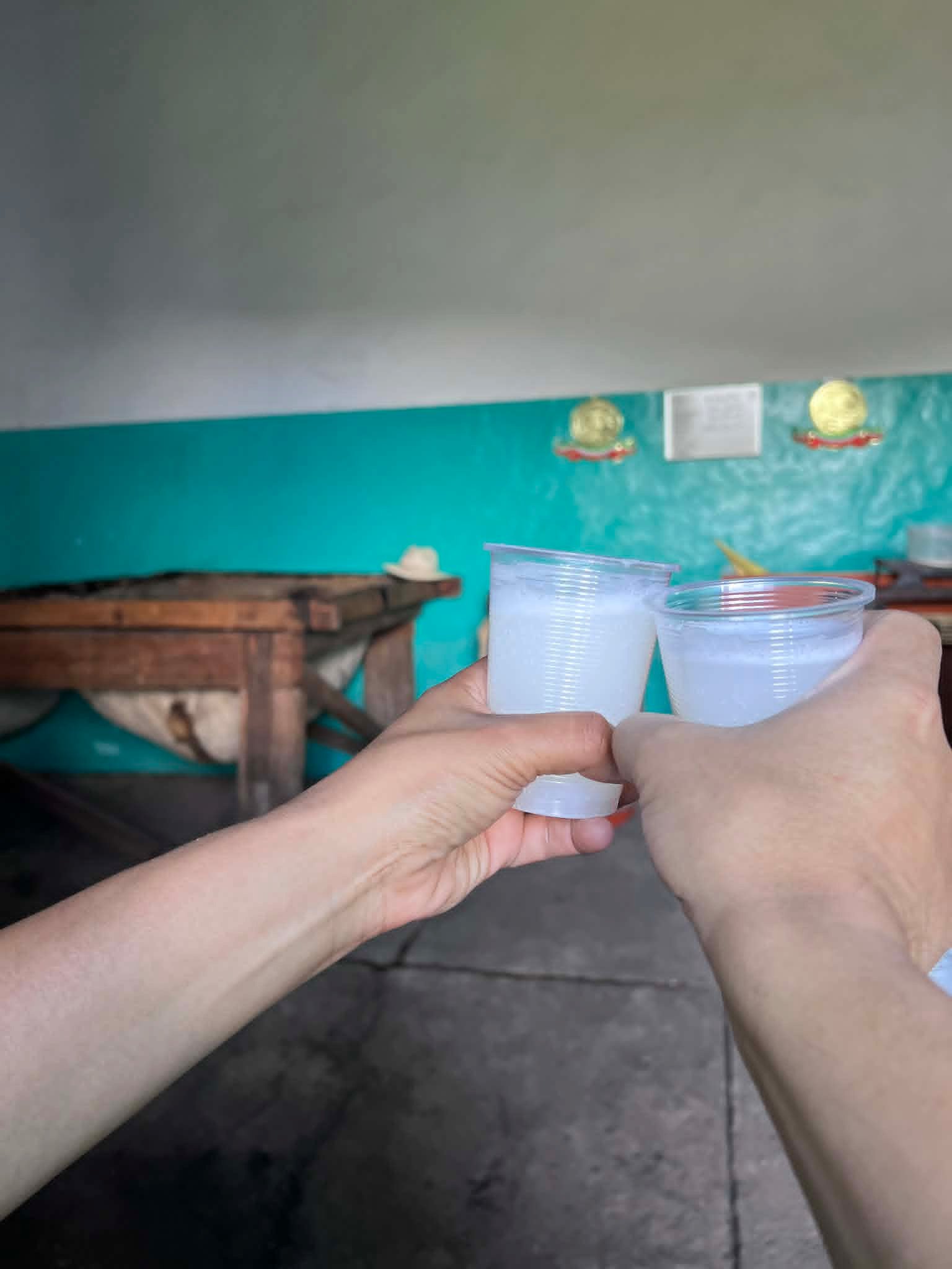 PAQUETE 3 - RUTA DEL PULQUE + SANTUARIO DE LAS LUCIÉRNAGAS ✨🌙 ( 1 DIA ) product image (2)