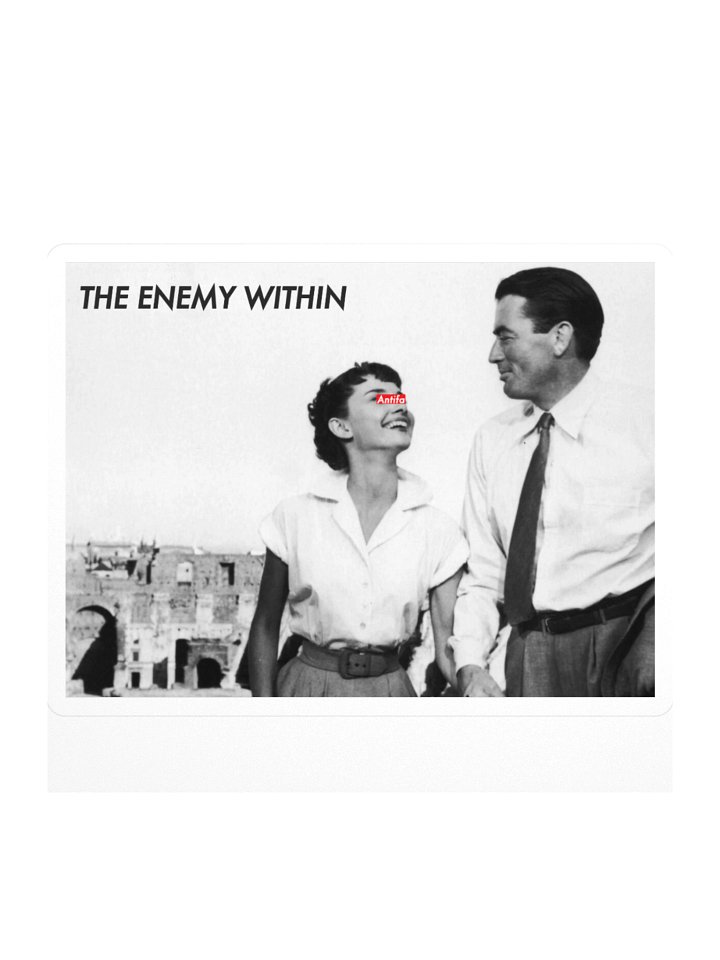 The Anti-Fascionista Sticka product image (1)