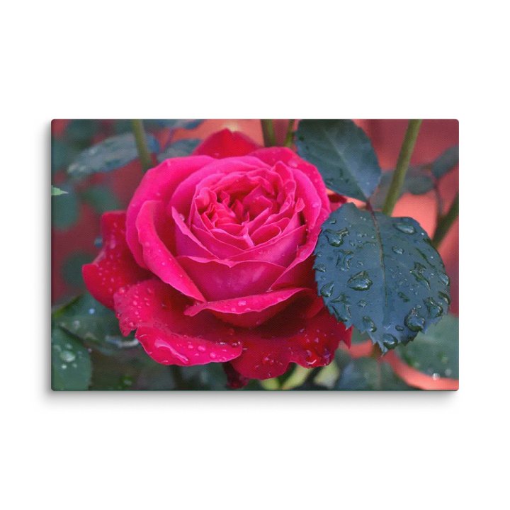 Canvas Rose of Heart Raindrops product image (4)