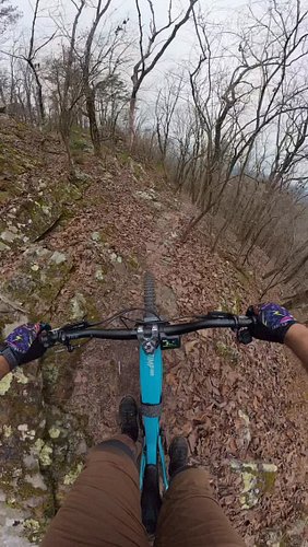 Got to sample a new trail out at @oakmountainstatepark - Valhalla. It did not disappoint! Tech off-camber at the top, jump fl...