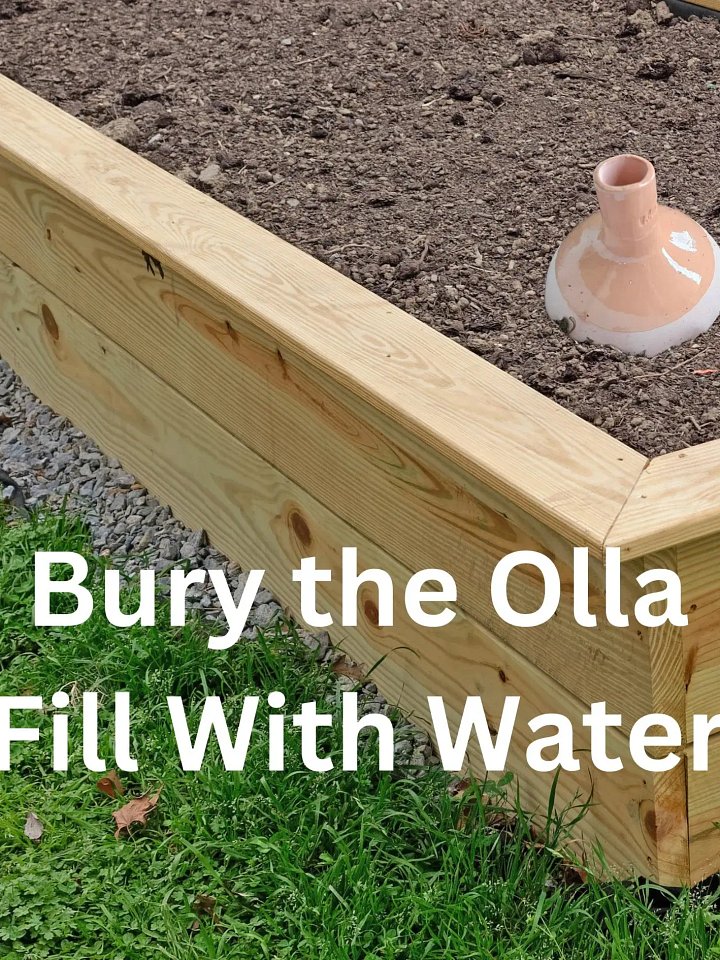 Olla, Garden Watering, Self Water, Ollas product image (2)