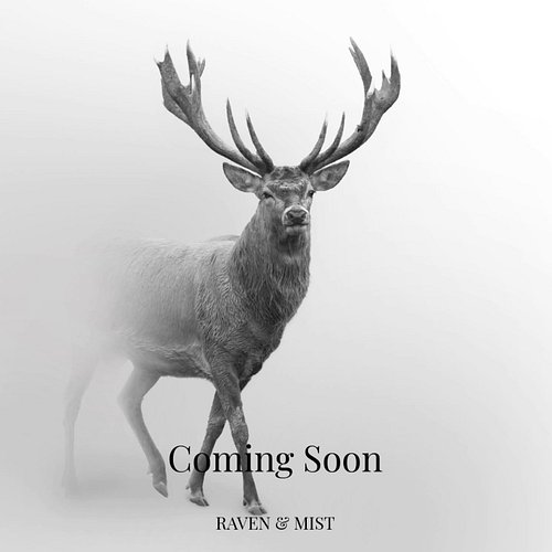 Coming soon...