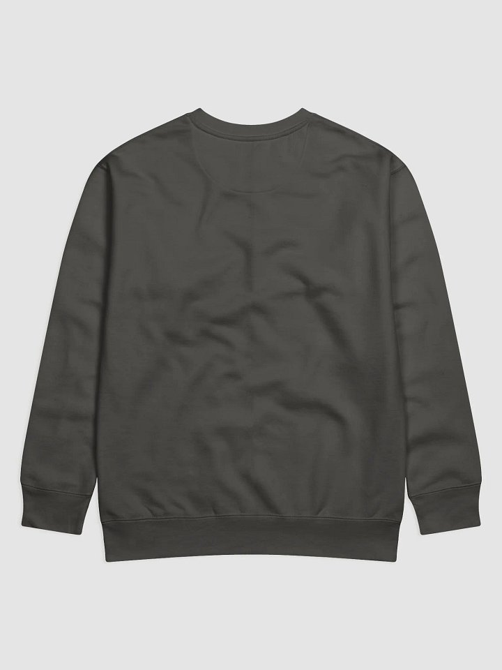 In CHRIST IS FOUND Premium Sweatshirt product image (2)