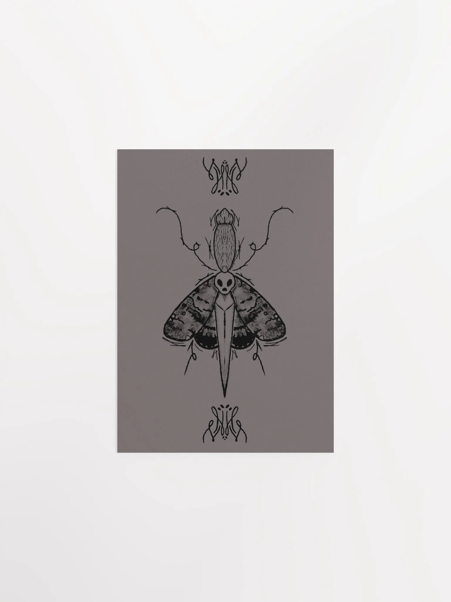 Dagger Moth Print product image (4)