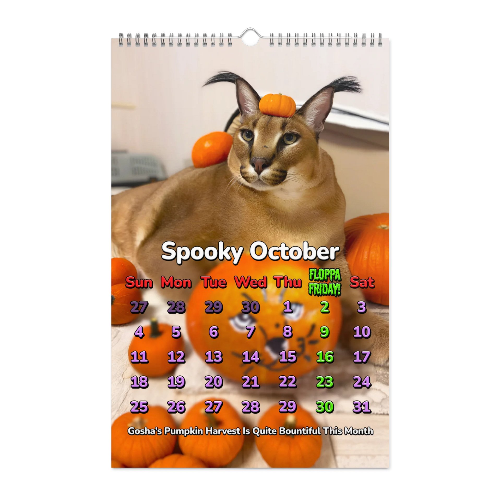 BIG CARACALENDAR 2026 (Limited Edition) product image (12)
