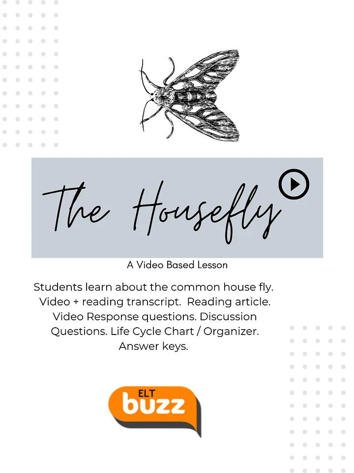 The Housefly. Video Lesson. Reading Comprehension. product image (1)