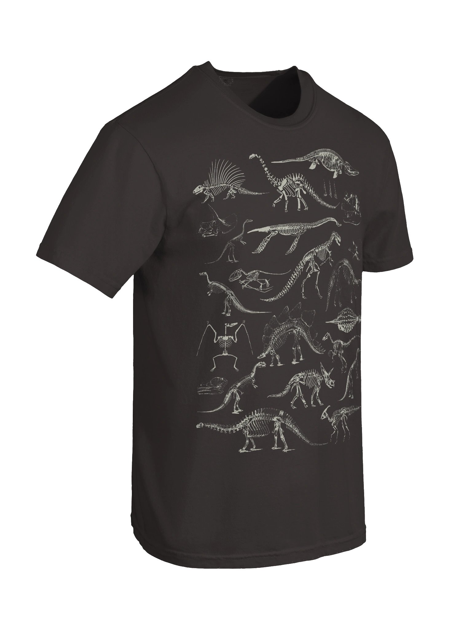 Dark Academia Dinosaur Skeleton Shirt – Vintage Fossil Bones Off-White Graphic Tee product image (27)
