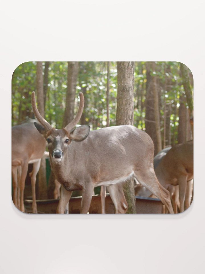 Deer Mouse Pad product image (2)