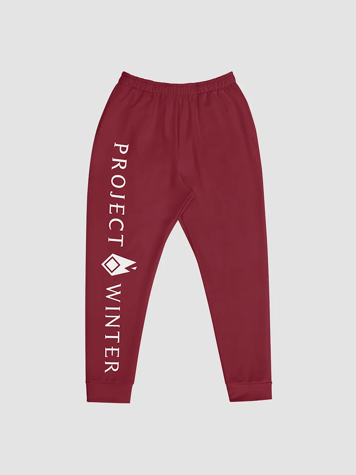Project Winter Men's Joggers (Red) product image (1)