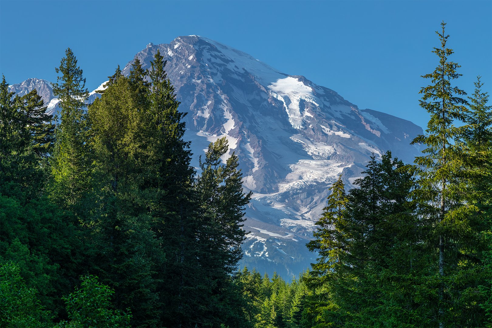 Print - Mount Rainier National Park product image (13)