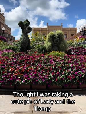 Please tell me I’m not the only one whose phone storage is 40% accidental videos of sidewalks? 💀#disneyadult #parkfail #epcot #broll #traveltiktok 