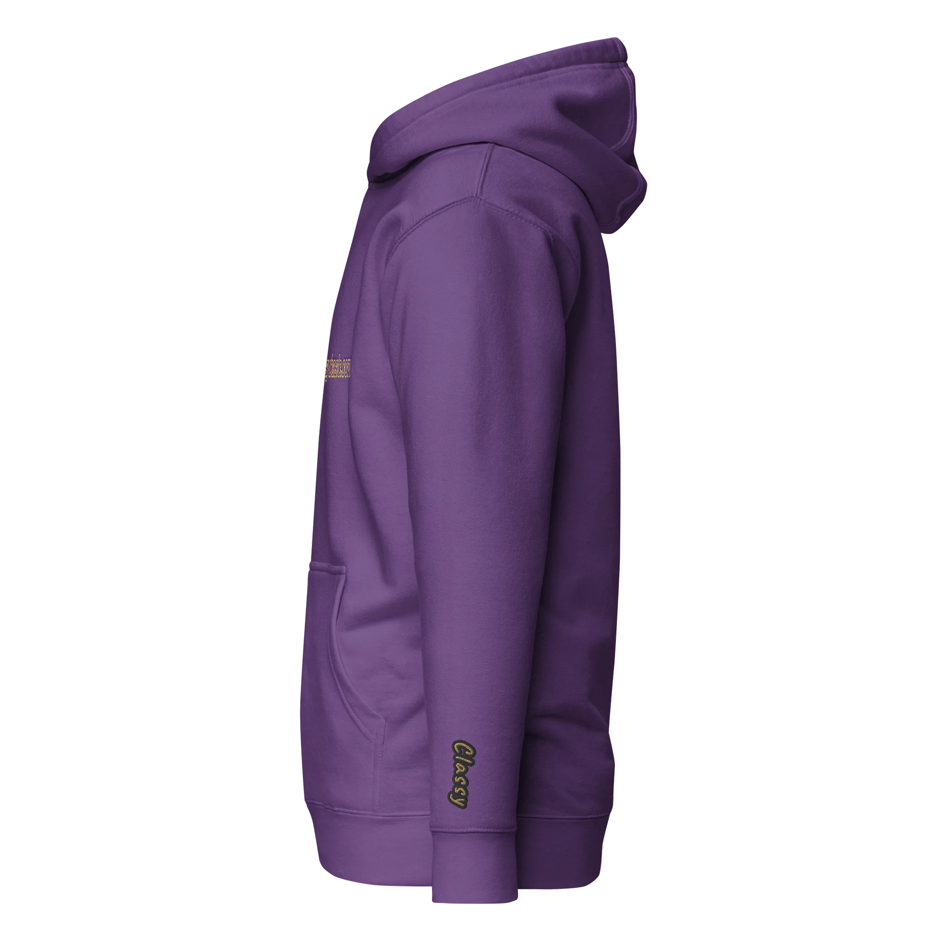 The classy basic dot com hoodie: it's www dot wonderful product image (4)