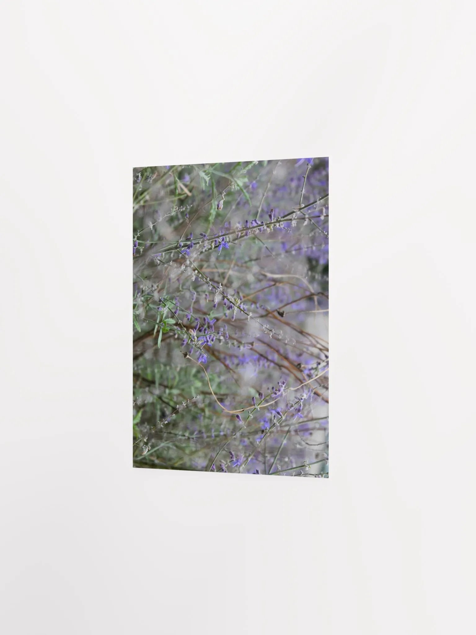 A Study in Flowers 14 product image (21)