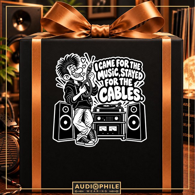 I Came For The Music, Stayed For The Cables