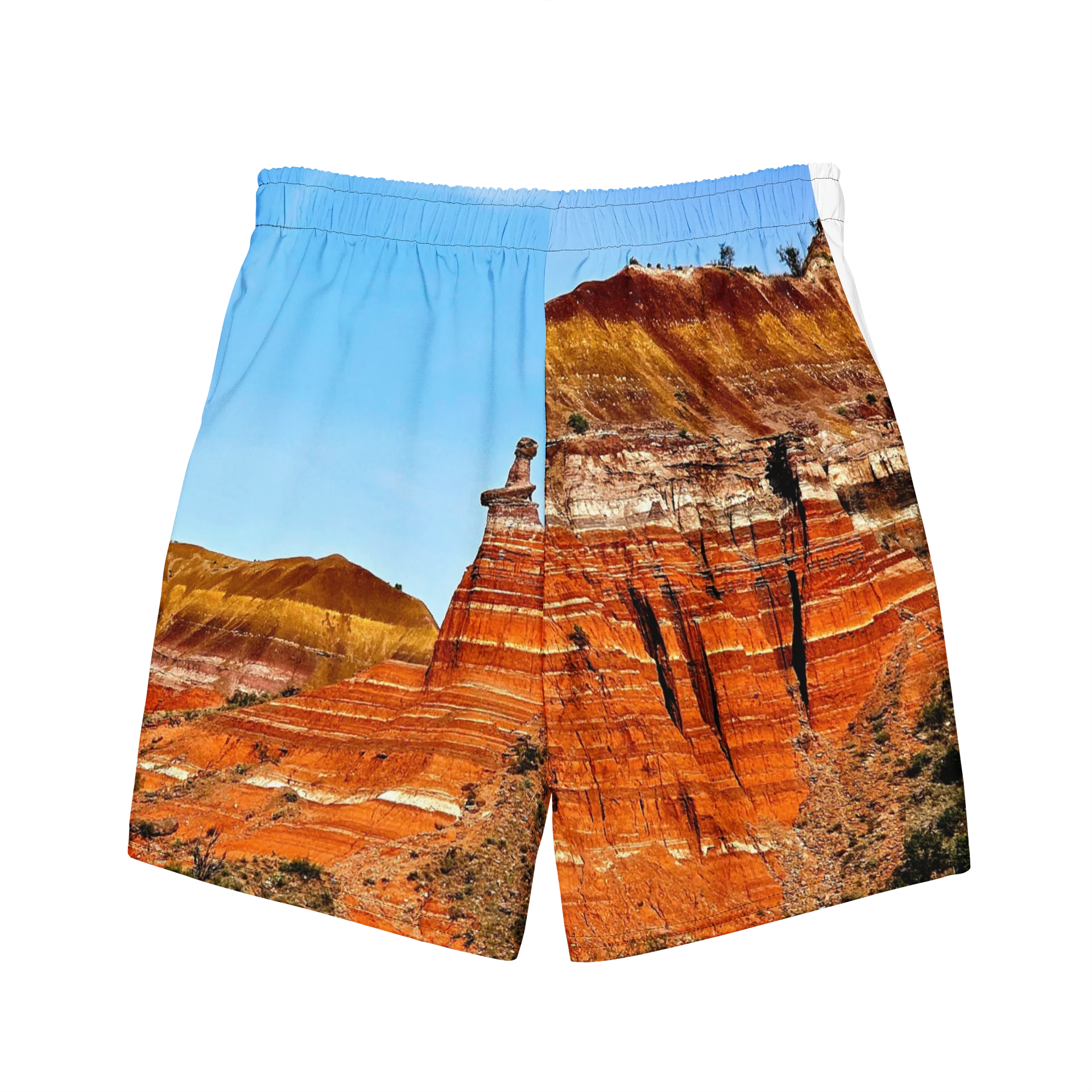 Palo Duro Canyon Swim Trunks product image (7)