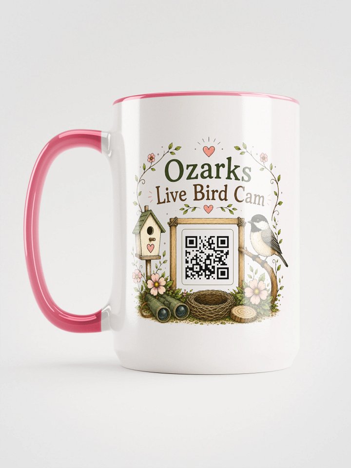 I Watch Birds Don't Make it Weird- Ozarks Live Bird Cam Coffee / Tea Mug | Bird Watching Fuel product image (27)