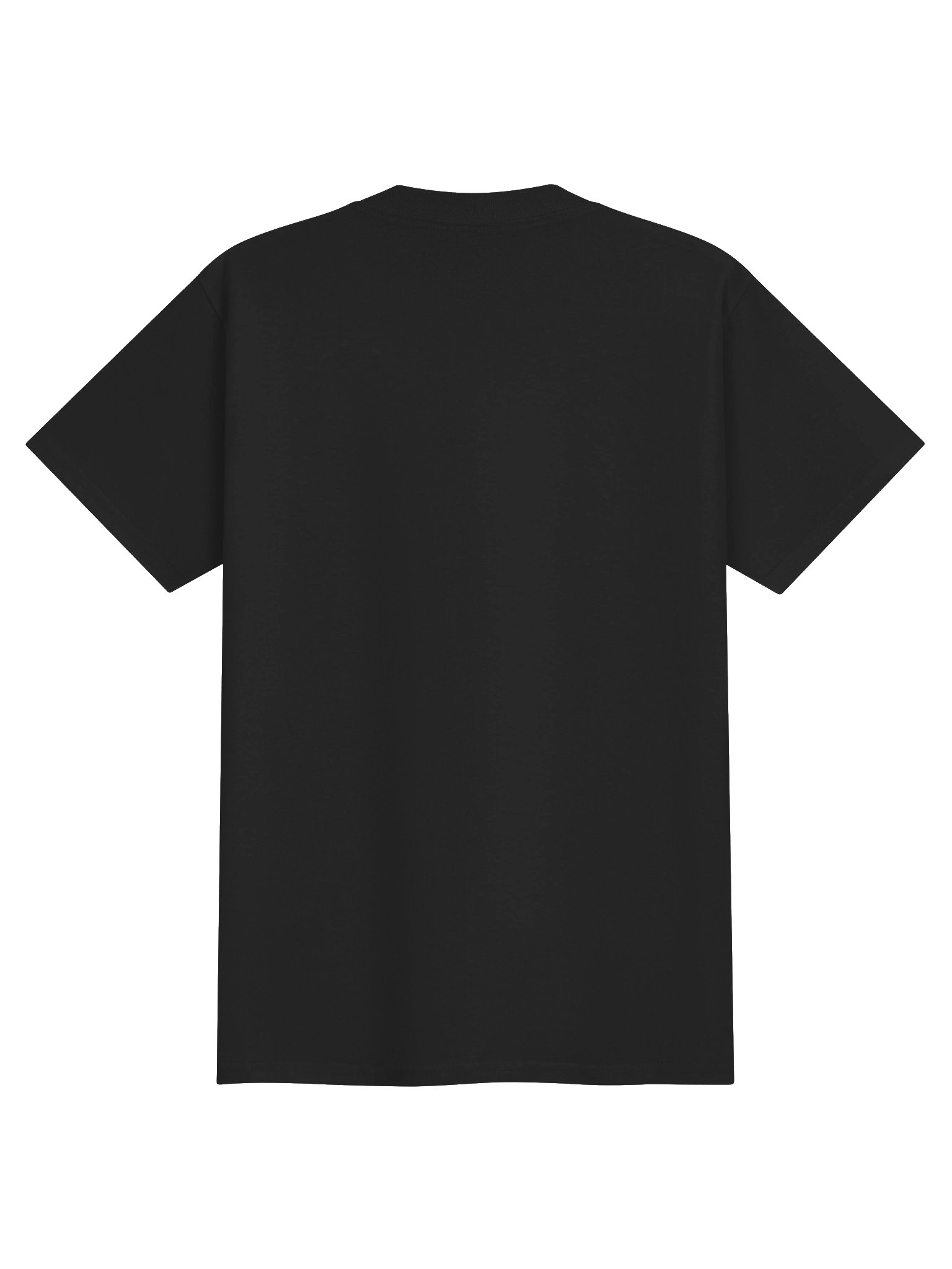 Unlikely Friends T - Youth XS -XL product image (12)
