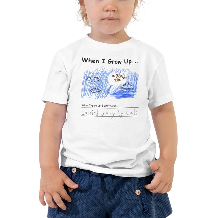 Carried Away By Owls product image (1)