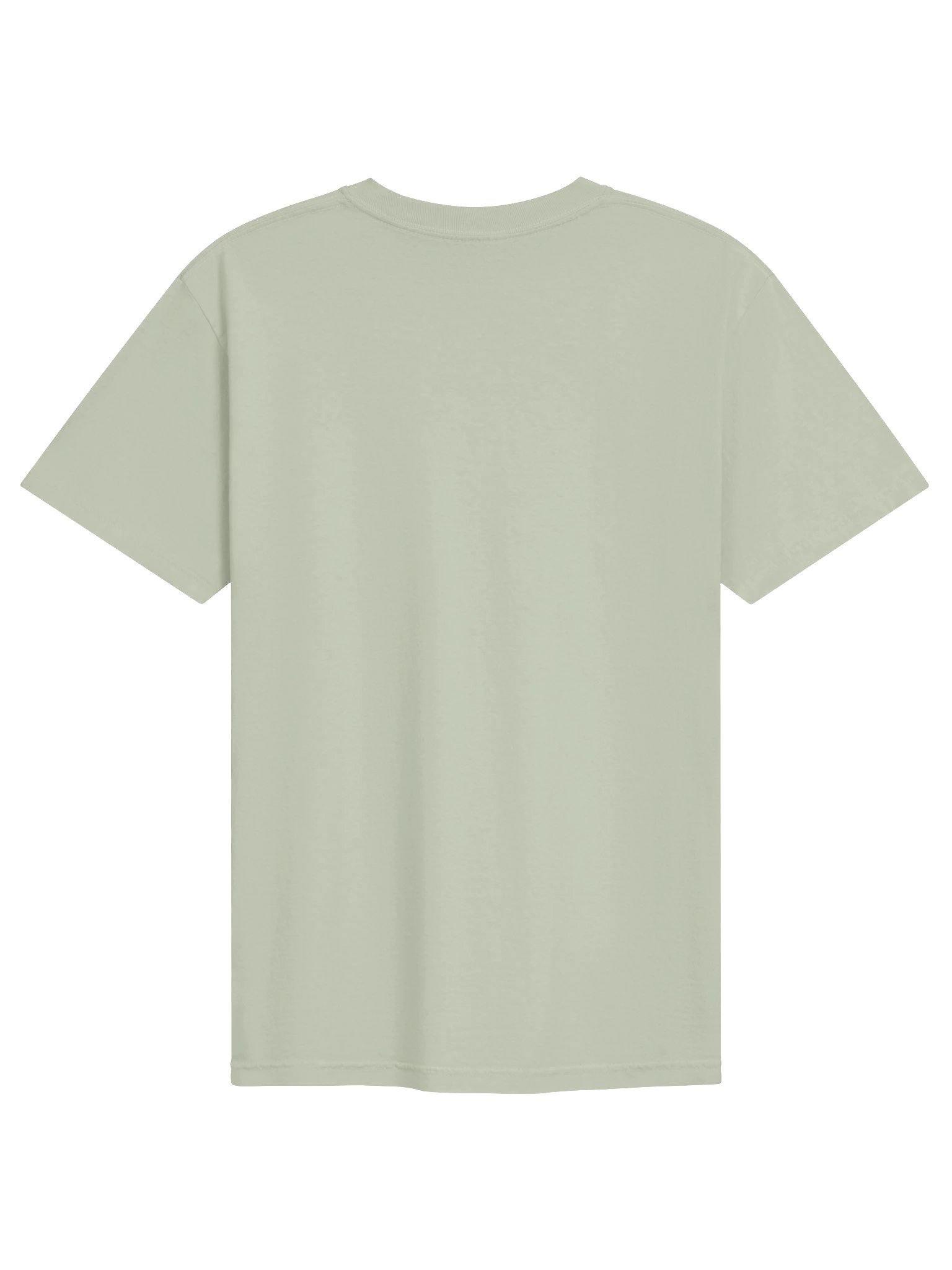 Country In My Blood Comfort Colors T-Shirt product image (2)
