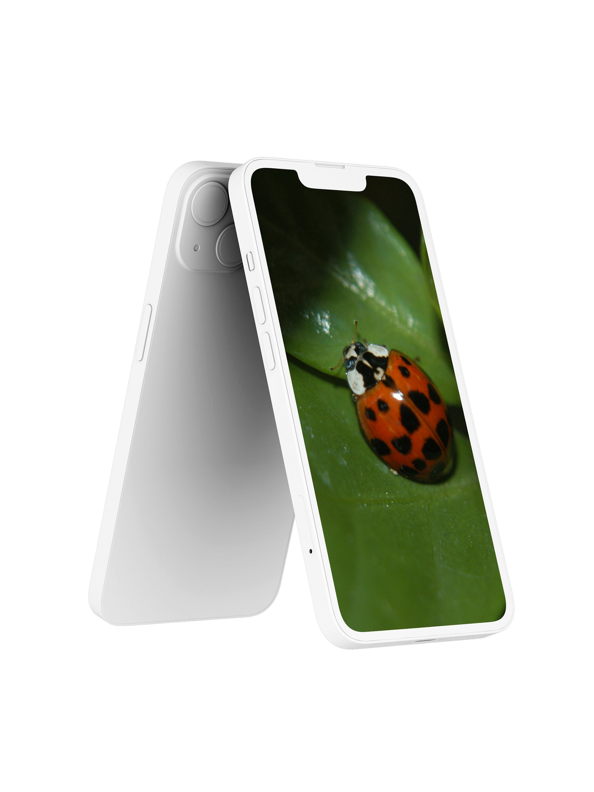 Ladybug Digital Wallpaper Set product image (2)