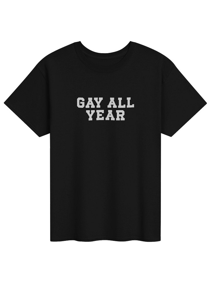 Gay All Year Tee product image (1)