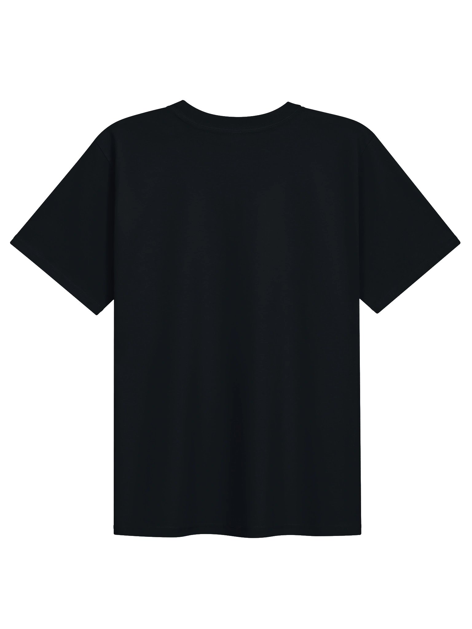 Safe Voyage Women’s Heavyweight Tee product image (3)