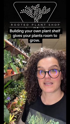 If you’re trying to create a plant area in a smaller space, sometimes the best plant shelf isn’t a plant shelf at all. A lot ...