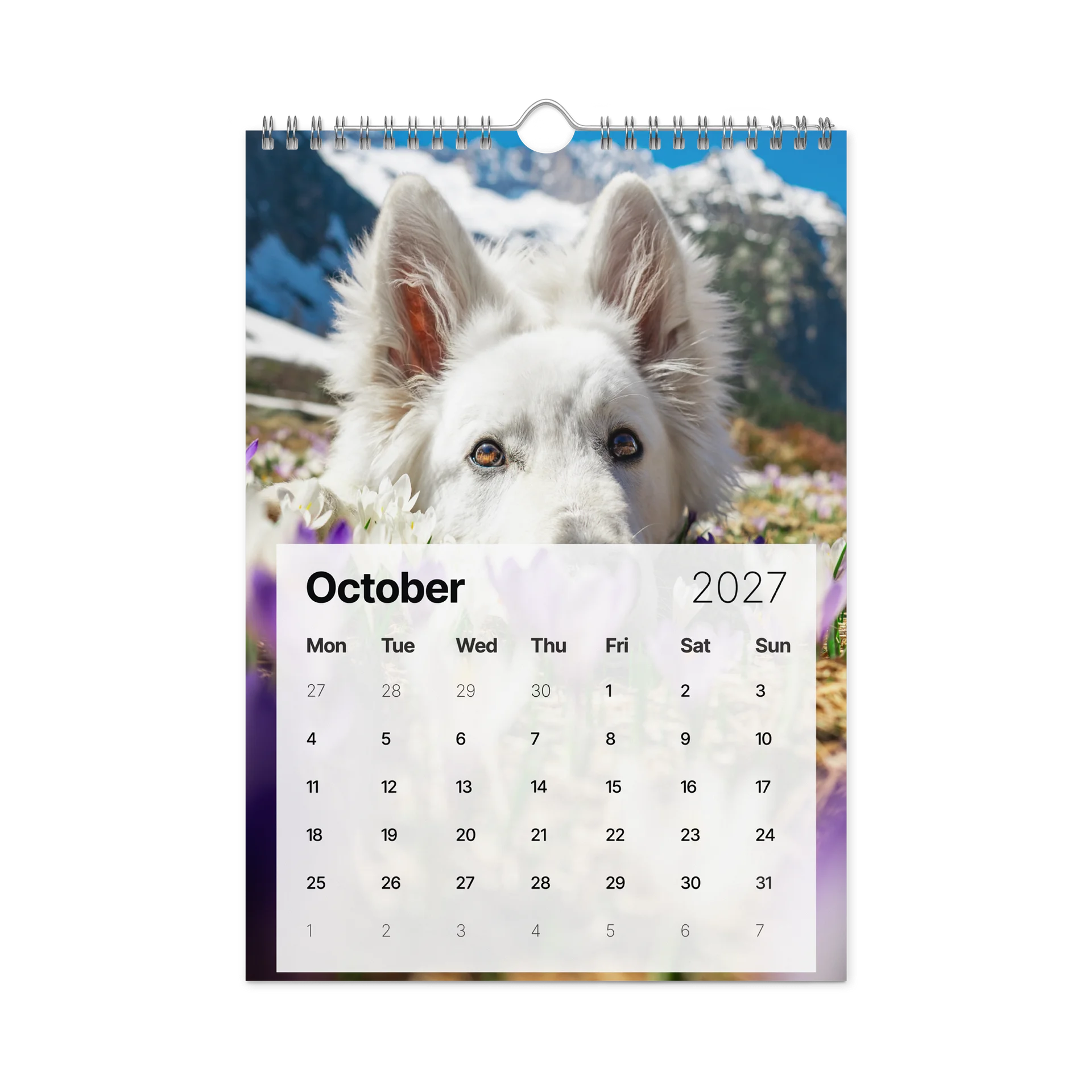 Lil Rasta Calendar 2027 product image (12)