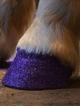 Hoof Polish (Nail Polish Safe for Animals) product image (7)